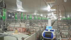 <b>现“从AI判断到机械施行”的无缝跟尾</b> 